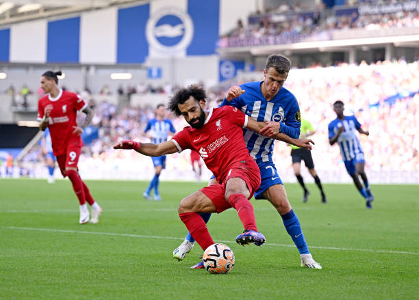 贡献让人瞩 贡献让人瞩